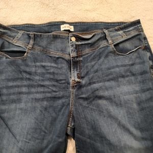 Lane Bryant Jeans